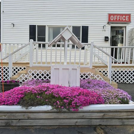 Knotty Pine Motel Солсбери Экстерьер фото